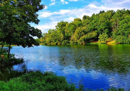 هنر تابلوسازی: راهنمایی جذاب برای انتخاب و خلق تابلوهای دیواری منحصر به فرد {متریال+تکنیک های آن} 16 هنر تابلوسازی: راهنمایی جذاب برای انتخاب و خلق تابلوهای دیواری منحصر به فرد {متریال+تکنیک های آن}