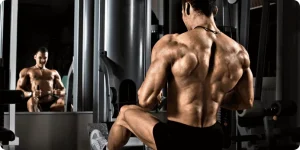 ویژگی های تابلو بدنسازی چیست؟